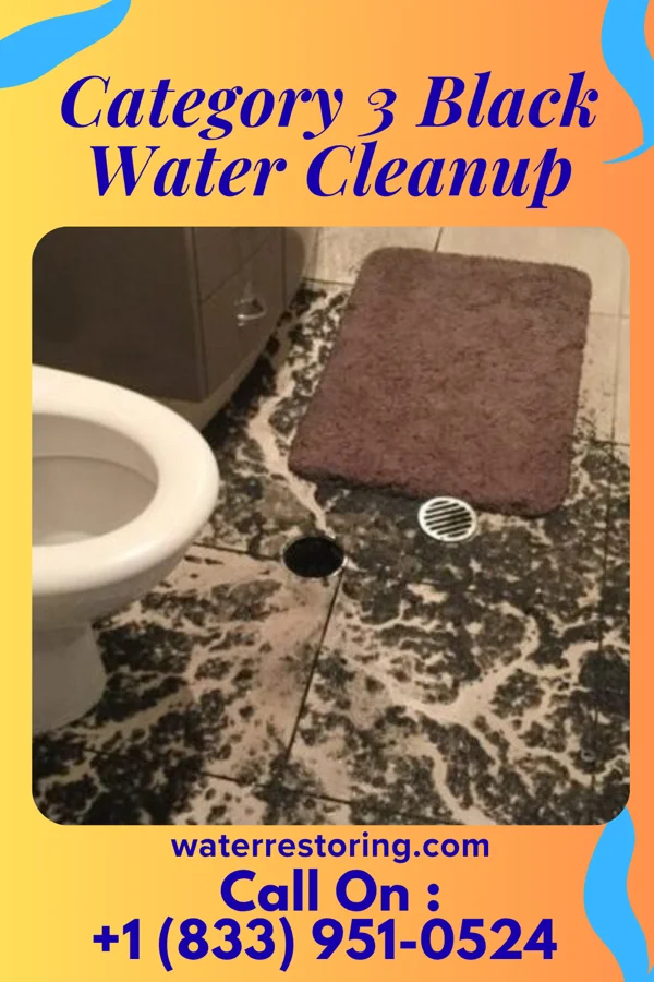 Category 3 Black Water Cleanup in West Bradenton, FL